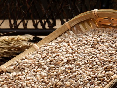 青海白青稞米 货源充足量大从优 五谷杂粮产地供应图3