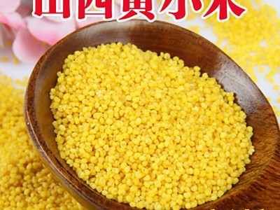 山西黄小米散装小米批发20新小米五谷杂粮黄小米代加工黄小米图3