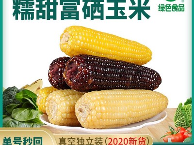 甜糯玉米即食玉米粘玉米新鲜玉米黑玉米真空220g糯玉米棒批发图3