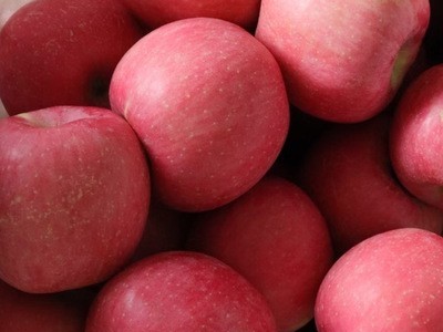 陕西洛川红富士苹果5斤10斤装脆甜多汁产地直发图2