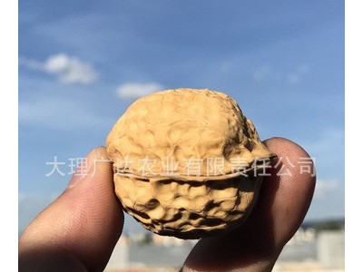 云南核桃500g 办公室休闲零食坚果散装核桃批发 云南核桃图3