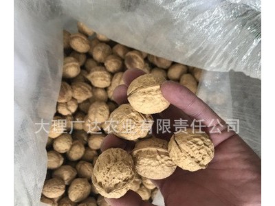 云南核桃500g 办公室休闲零食坚果散装核桃批发 云南核桃图2