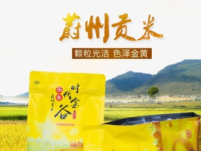 非卖品特产食用小米黄小米批发农家五谷杂粮小米图2