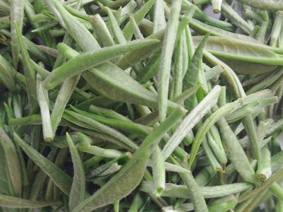 信阳毛尖2020年茶叶新茶高山炒青毛尖厂家直销批发125克散装包邮图3