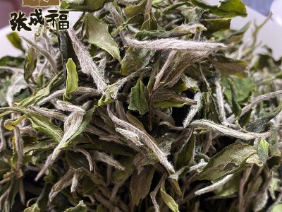 2020福鼎白牡丹白茶 500g散装大毫白牡丹茶叶 源产地货源批发图3
