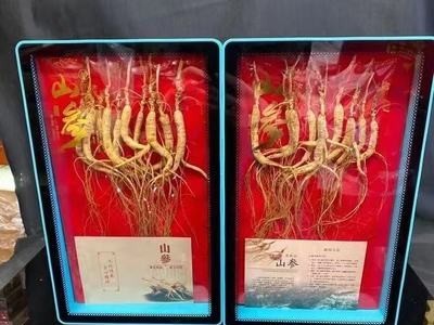 东北长白山林下参人参礼盒装白参整支泡酒年货送礼送长辈见父母图2