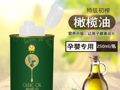 特级初榨橄榄油250ml 玻璃瓶礼盒装进口食用油 粮油调味 包邮图4