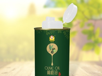 特级初榨橄榄油250ml 玻璃瓶礼盒装进口食用油 粮油调味 包邮图3