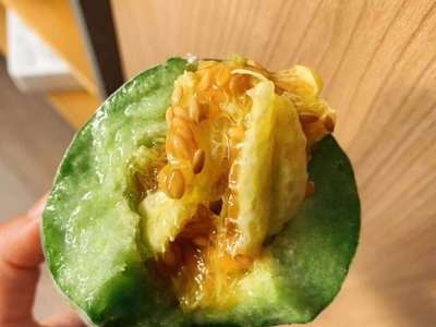 甜脆羊角蜜 农田菜园酥脆肉厚羊角蜜 博洋61蜜瓜水果甜瓜种子图3