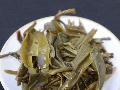 2018云南普洱茶珍藏布朗古树生茶饼357g厂家直销批发 生普七子饼图4