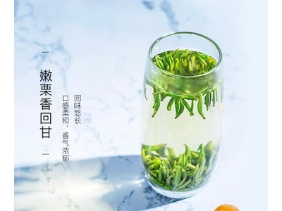 天府龙芽宜宾早茶新茶2020明前春茶龙井特级高山有机绿茶散茶批发图2