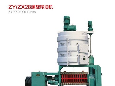 ZX310螺旋动物植物榨油机 动物油用液压榨油机 可加工定制图4