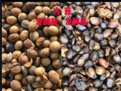 厂家直销 益生菌腐熟发酵大豆有机肥 发酵大豆图4