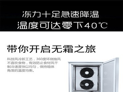 烨昌低温速冻冷冻柜无霜风冷商用智能温控海鲜包子饺子食品速冻柜图3