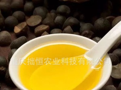 陇间柒月 物理低温冷榨山茶油 菜籽油茶籽食用植物调和油1.8L图4