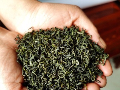 四川宜宾早茶蜀芽春露九号明前碧螺绿茶散装500克早春茶叶批发图3