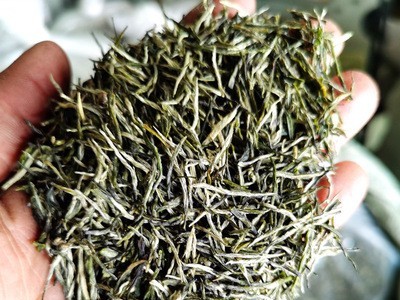 四川明前绿茶宜宾早茶白毫毛尖散装绿茶定制加工批发茶叶源头工厂图2