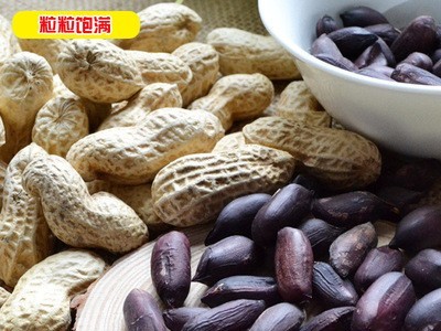黑花生种子花生果花生豆种子家种菜园大田黑花生种子籽蔬菜种孑图3