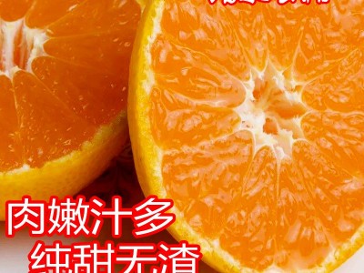 无核薄皮正宗浙江临海涌泉蜜桔新鲜现摘现发甜如初如恋甜 甜如蜜图5