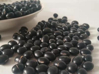 厂家现货供应低温烘焙五谷杂粮 黑豆熬粥稀饭质量品质好图3