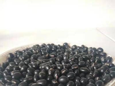 厂家现货供应低温烘焙五谷杂粮 黑豆熬粥稀饭质量品质好图4