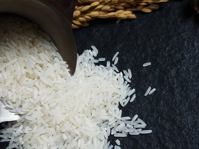 金熊马坝油粘米10kg当季新米20斤装大米家用农产品直供批发大米图2