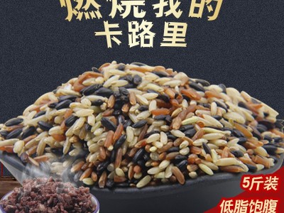 三色糙米健身糙米饭糙米新米5斤玄米杂粮饭粗粮五谷杂粮批发代发图4