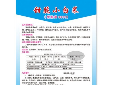 甜脆小白菜种子 耐热耐雨水抗病性强 特靓甜脆小白菜8933蔬菜种子图2