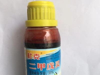 杜克33%二甲戊灵 大蒜葱姜棉花甘蓝苗前封闭除草剂200毫升/瓶封闭图5