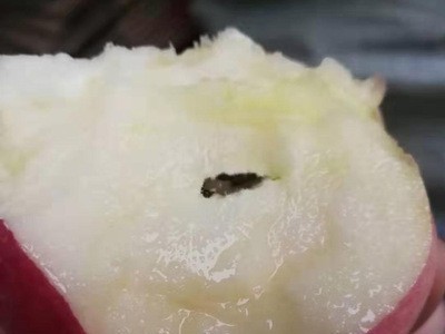 产地货源新鲜水果陕西红富士苹果当季水果整箱水晶红富士苹果图3