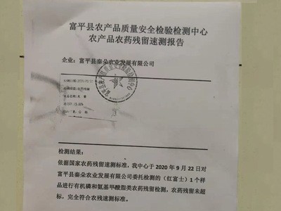 产地货源新鲜水果陕西红富士苹果当季水果整箱水晶红富士苹果图4