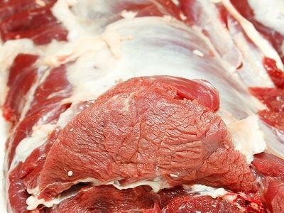 新鲜鹿里脊肉 鲜鹿肉冷冻包装 东北特产梅花鹿柳整条成年鹿肉图3