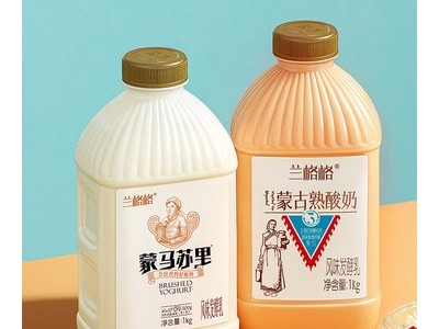 兰格格蒙古风味炭烧熟酸奶蒙马苏里活菌发酵1kgx2桶组合低温奶图2