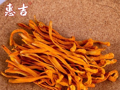 【虫草花】小孢子头北虫草 食用新鲜北虫草批发图3