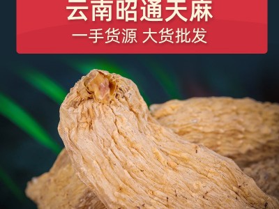 楷美大货批发天麻片传统滋补品 云南昭通小草坝天麻 一件代发图3