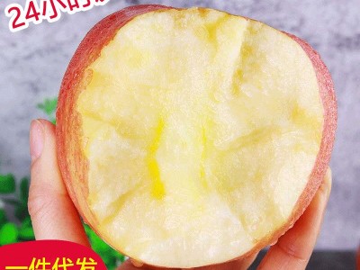冰糖心苹果现摘现发带箱十斤新鲜应季水果批发红富士苹果一件代发图4