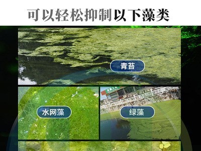 鱼虾塘灭青苔水产养殖灭杀青苔水绵杀藻类灭青苔杀孢子菌图4