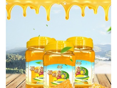 东北珍珠山味道清香椴树蜜 瓶装农家自产土蜂蜜1000G蜂蜜礼盒直供图2