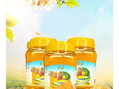 东北珍珠山味道清香椴树蜜 瓶装农家自产土蜂蜜1000G蜂蜜礼盒直供图4