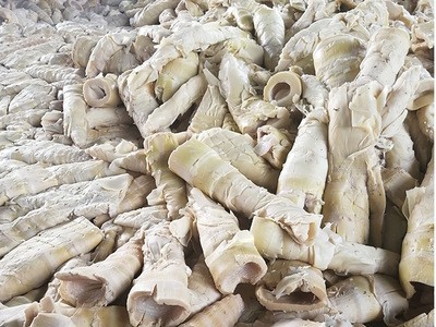百笋园福建特产笋尾 笋尖乳酸发酵笋 厂家直销 现货批发麻笋蔬菜图4