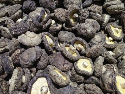 香菇dried mushroom 厂家直销干香菇 光面菇4-5 湖北香菇产地图3