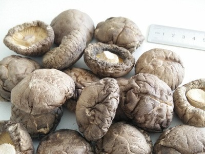 香菇dried mushroom 厂家直销干香菇 光面菇4-5 湖北香菇产地图2