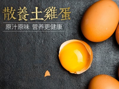 四川土鸡蛋 全放养农家鸡蛋源产地批发鸡蛋 放养鸡蛋粗粮蛋鸡蛋图2