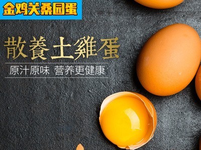 四川土鸡蛋 全放养农家鸡蛋源产地批发鸡蛋 放养鸡蛋粗粮蛋鸡蛋图3