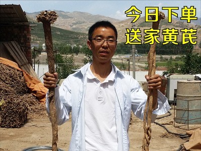 黄芪野生黄芪无硫自然采挖 甘肃黄芪片原产地 正北芪批发满5包邮图4