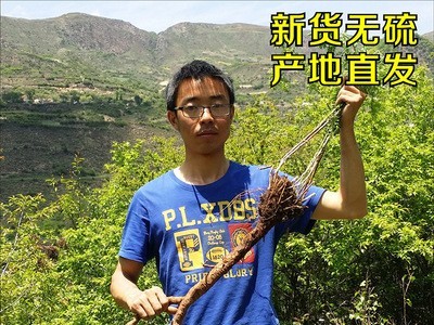 黄芪野生黄芪无硫自然采挖 甘肃黄芪片原产地 正北芪批发满5包邮图5