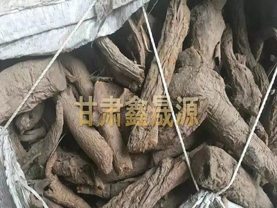 甘肃掌叶大黄分支大黄粉高含量兽用药胃胀批发马蹄大黄水根图3