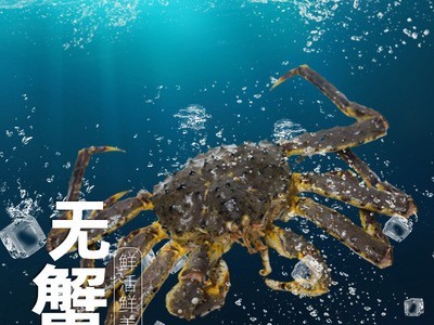 冻帝王蟹海鲜水产新鲜冷冻超特大龙虾面包珍宝皇帝螃蟹4.5~5斤/只图4