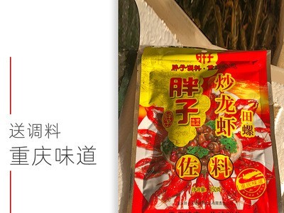 清水鲜活小龙虾盱眙麻辣清水虾青虾活体456钱潜江龙虾鲜活水产3斤图3