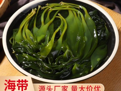 厂家直供 盐津海带苗500g/包海带芽嫩苗裙带菜火锅凉拌食材批发图5